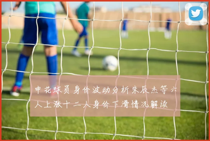 申花球员身价波动分析朱辰杰等六人上涨十二人身价下滑情况解读