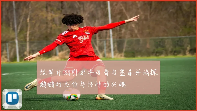 绿军计划引进字母哥与墨菲并试探鹈鹕对杰伦与怀特的兴趣